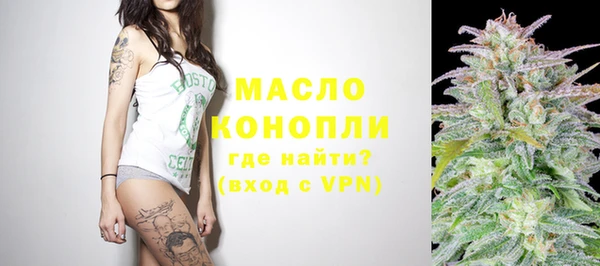 сатива Краснослободск