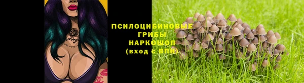 стаф Краснотурьинск