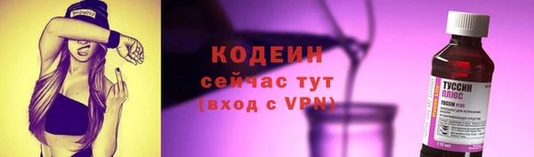 сатива Краснослободск