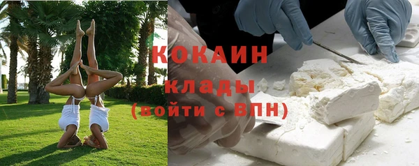 сатива Краснослободск
