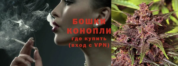сатива Краснослободск