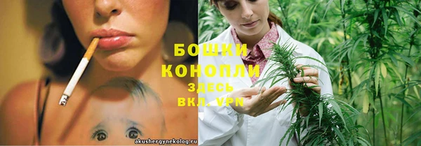 сатива Краснослободск