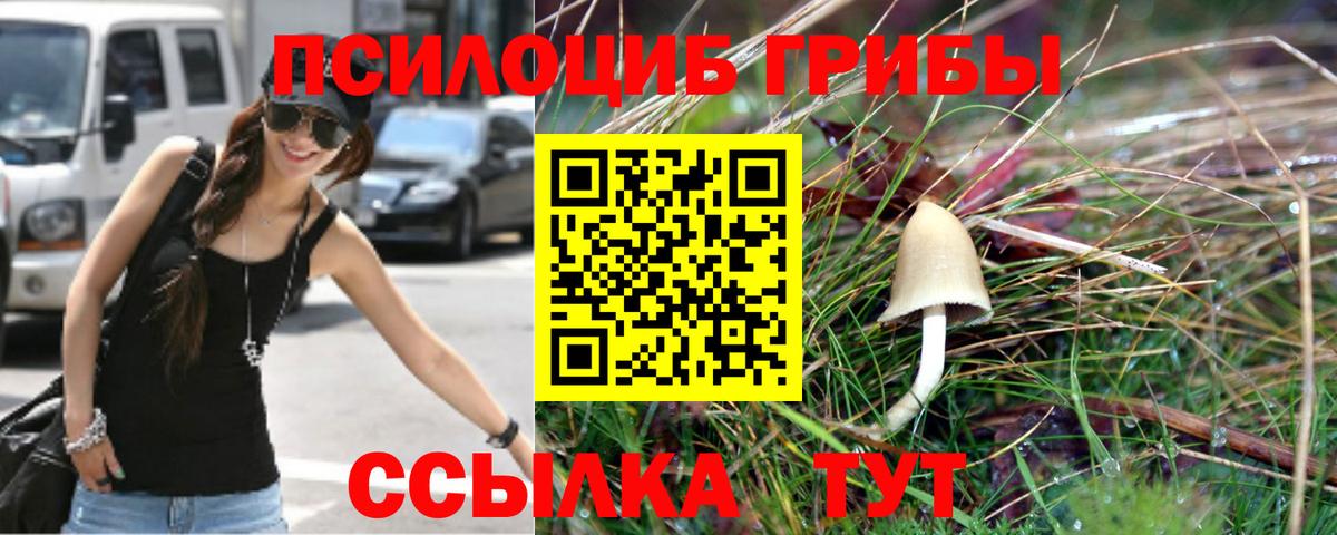 Галлюциногенные грибы Psilocybe  Вход с VPN  Узловая  Псилоцибиновые грибы мухоморы 