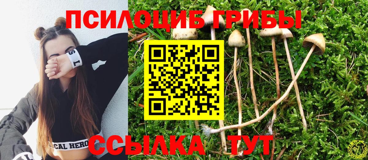Псилоцибиновые грибы ЛСД Узловая